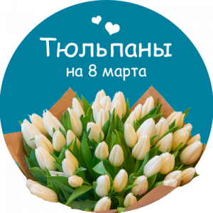 Купить тюльпаны в Надыме